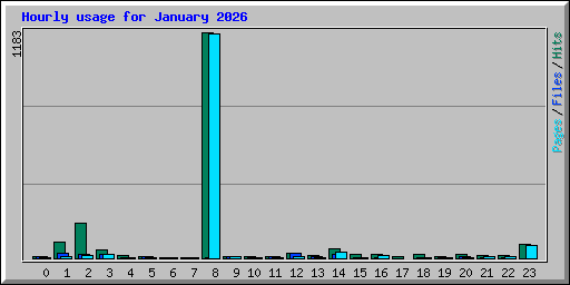 Hourly usage for January 2026